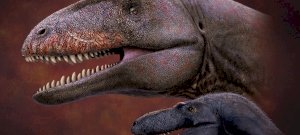Brutális dinót találtak, amely a félelmetes T-rex őseit terrorizálta